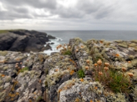 Isle of Lewis and Harris